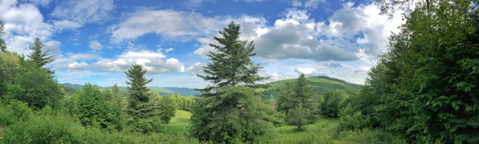 Staging only.1.20.25